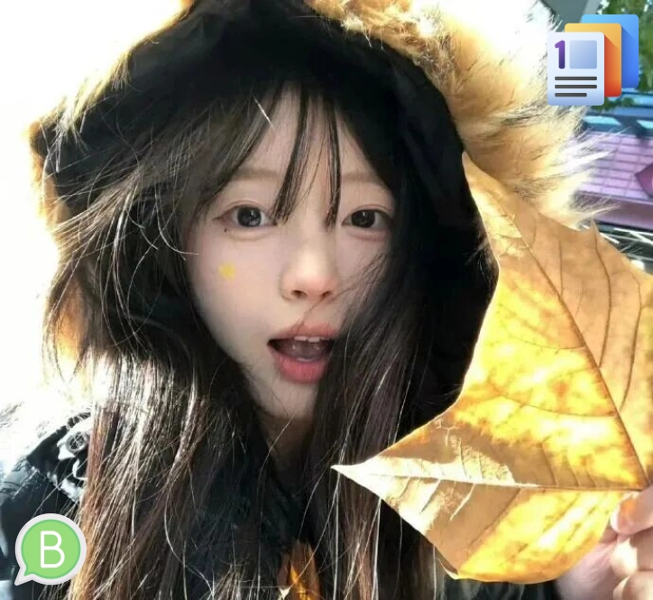 吴晨会员